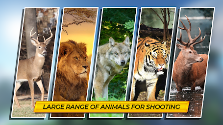 Wild Animal Hunting Games Gun