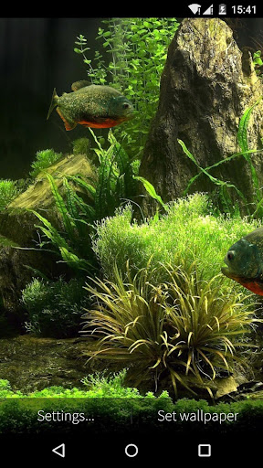3D Fish Aquarium Wallpaper HD