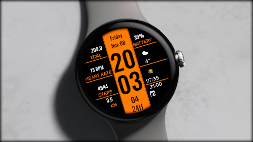 Digital Tern Watch face screenshot 5