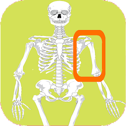 Icon image Skeleton bones, guess what is