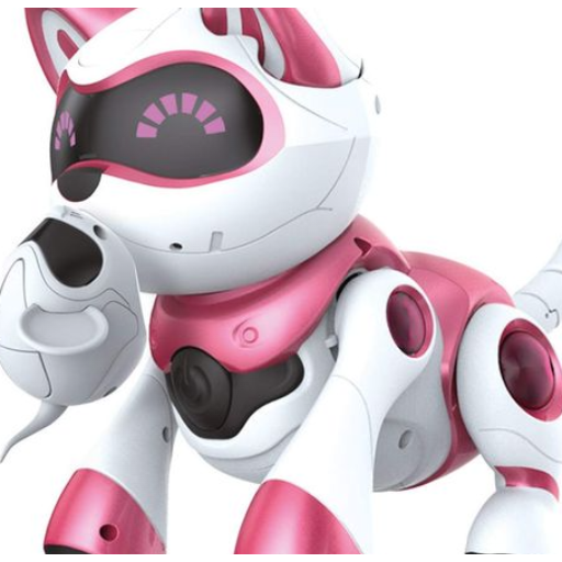Buy cheap kids toys Download on Windows