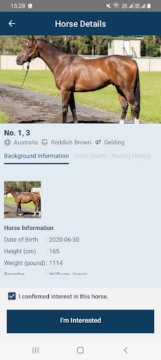 KK Horse Information Screen 2