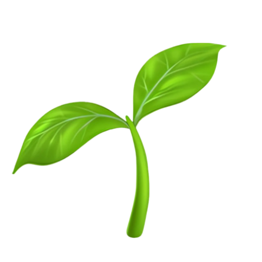 Xosiluz logo