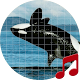 الحوت القاتل يبدو ~ Sboard.pro تنزيل على نظام Windows