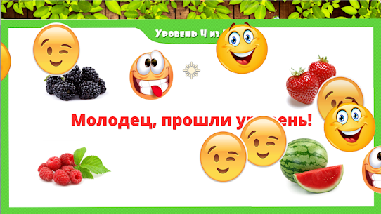 Овощи и фрукты, ягоды, грибы 5