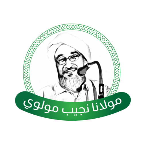 Moulana Download on Windows