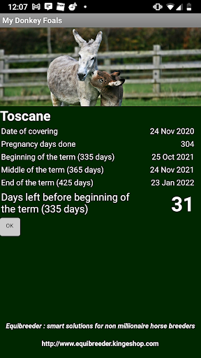 My Donkey Foals Screen 2