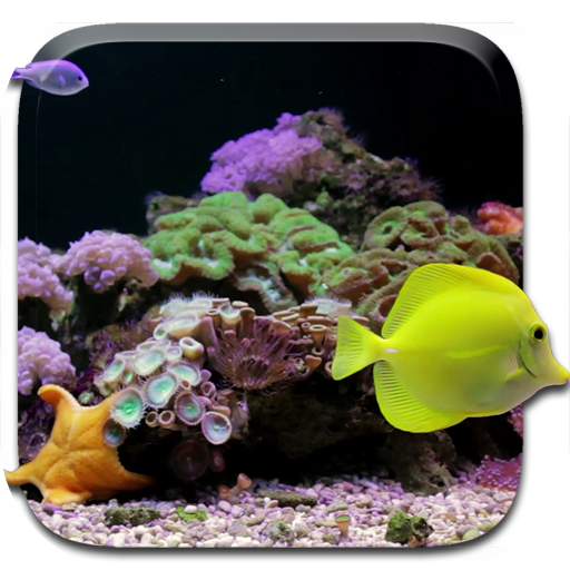 Aquarium Live Wallpaper 3.0 Icon