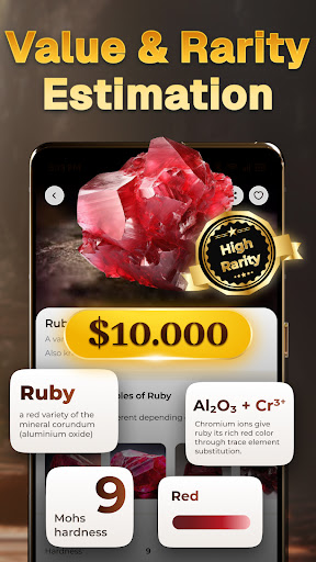 Rock Scanner - Crystal Value