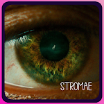 Cover Image of Скачать Stromae Full Songs 1.0.0 APK