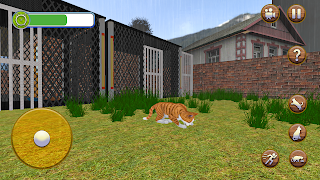 Cat Shelter Pet Simulator Game - Screenshot 3