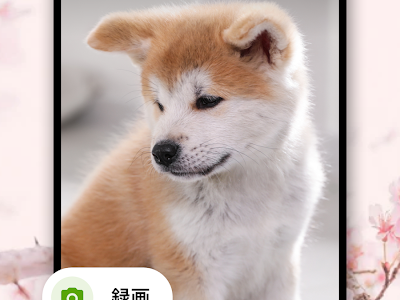 上 犬 お留守番 カメラ アプリ 258786