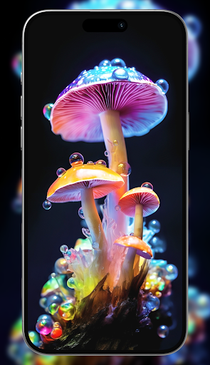 Mushroom wallpapers HD Screen 2