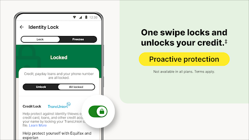 Screenshot of LifeLock Identity by Norton