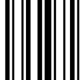 WiFi Barcode Scanner icon