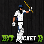 Hit Wicket Cricket - English County League Game Apk