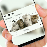 Adorable Kitties Keyboard Furry Cute Cat icon