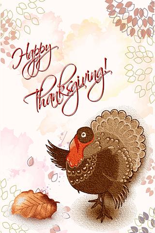 Thanksgiving Greeting Cards