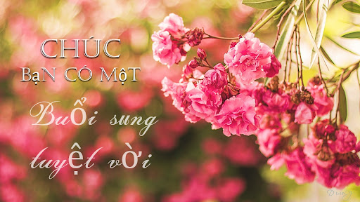 Android application Vietnamese Daily Wish Messages screenshort