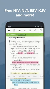 Bible App by Olive Tree