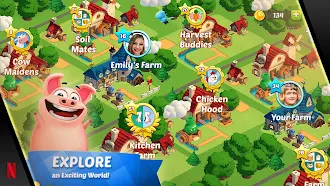 Game screenshot Country Friends apk download