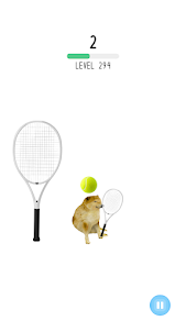 meme cat: smash tennis