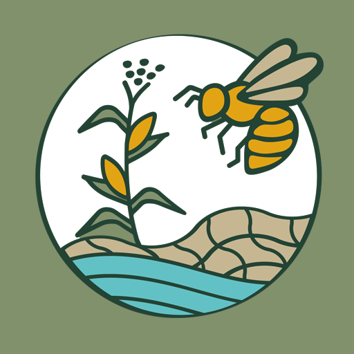 Centinelas del Mayab logo