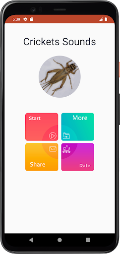Crickets Sounds Screen 2