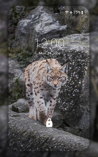 Lynx wallpaper