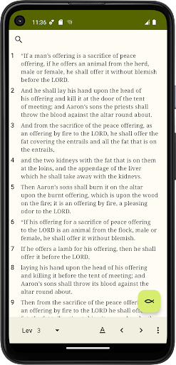 RSV Bible Screen 3