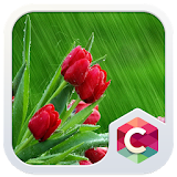 Rain Tulips CLauncher Theme icon