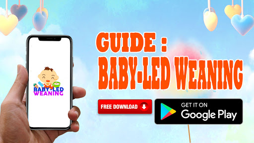 BLW Guide Baby Led Weaning