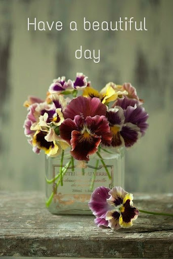 Morning Flowers GIF