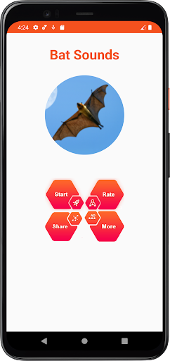 Bat Sounds Screen 2