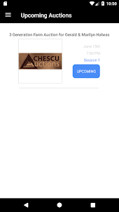 Chescu Auctions