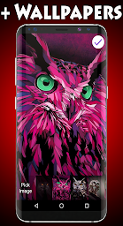 Owl Lock Screen & Wallpaper