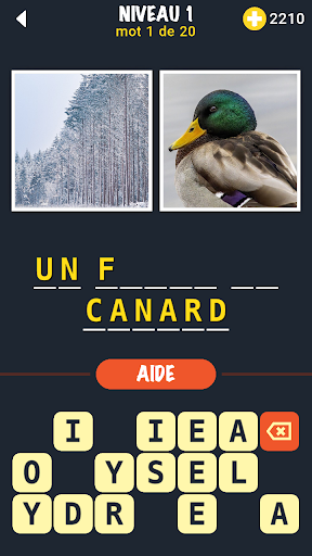 Aperçu de l'application