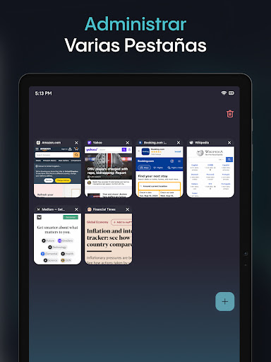 Aloha Navegador (Beta) screenshot 11