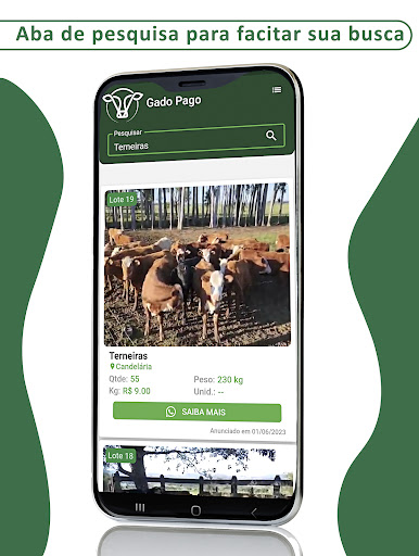 Gado Pago Screen 2