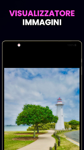 Immagine screenshot