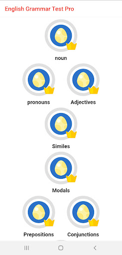 Android application Grammar Test Pro screenshort