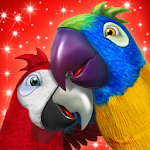 Cover Image of Download Talking Parrot Couple  APK