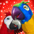 Talking Parrot Couple Free1.7.2