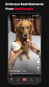Bloom: Real Life, Real Videos (Android App) – Free Download the latest version 4