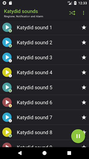 Katydid sounds Screen 2