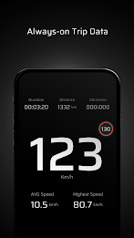 Speedometer Odometer poster 5