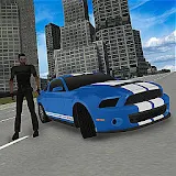 Crime City Street Driving 3D icon