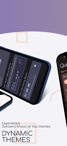 Quick Alarm Screen 2