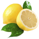 Lemons Uses and Benefits icon