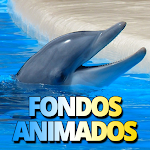 Cover Image of Download Fondos de pantalla de delfines  APK